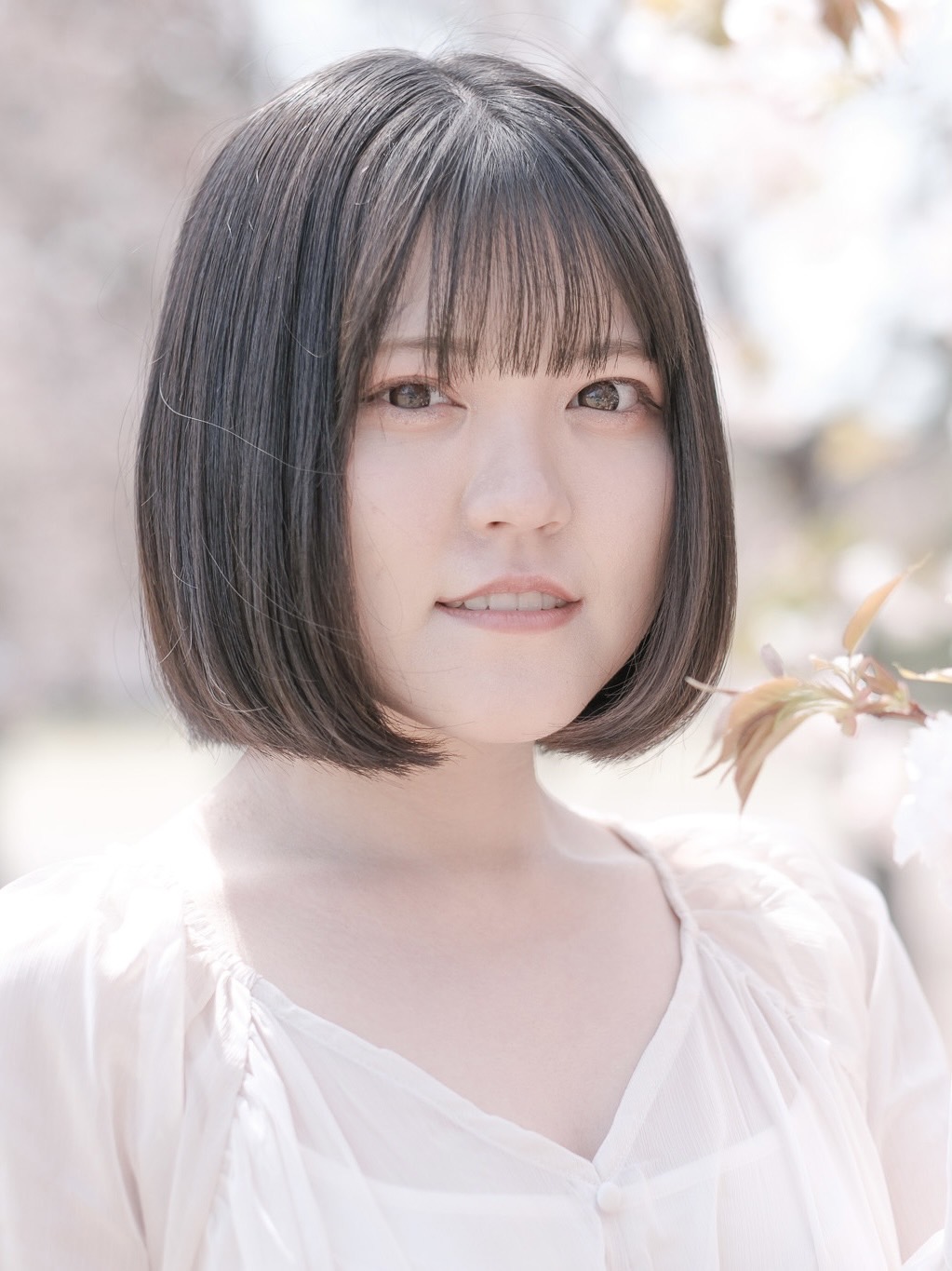 �g�c ���ԉ�